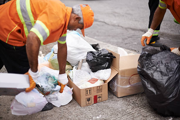 Best Basement Cleanout in USA